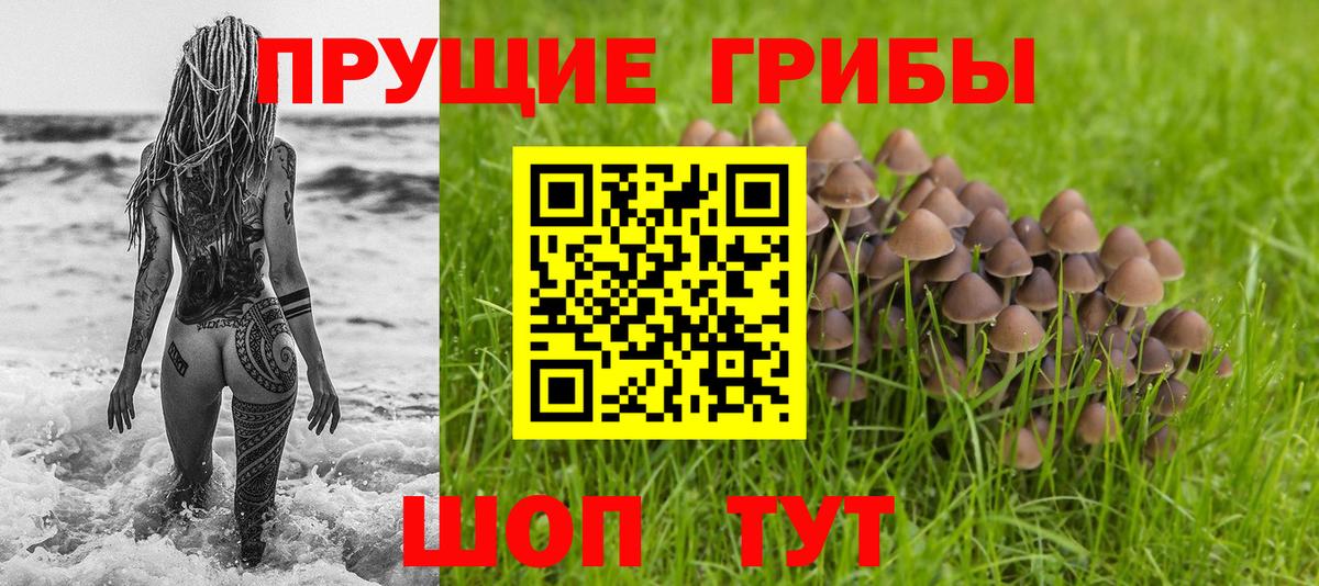 Псилоцибиновые грибы GOLDEN TEACHER Волжск