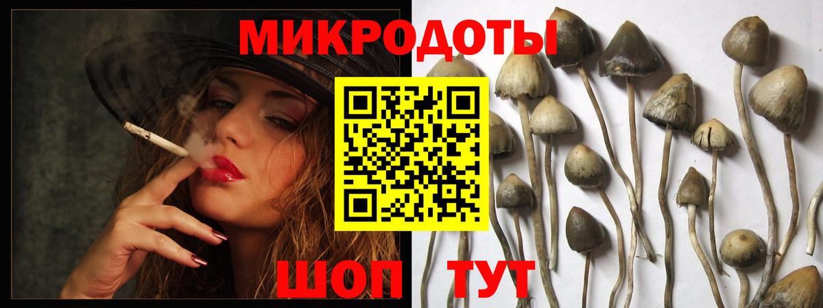Псилоцибиновые грибы мухоморы  Галлюциногенные грибы Psilocybe  наркота  Волжск  Вход с VPN 